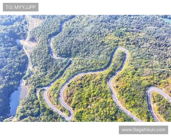 全面解析ub8优游登录5.0下载及其使用技巧